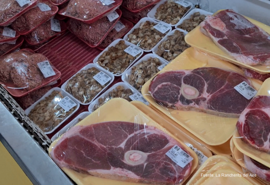 CARNE DE RES