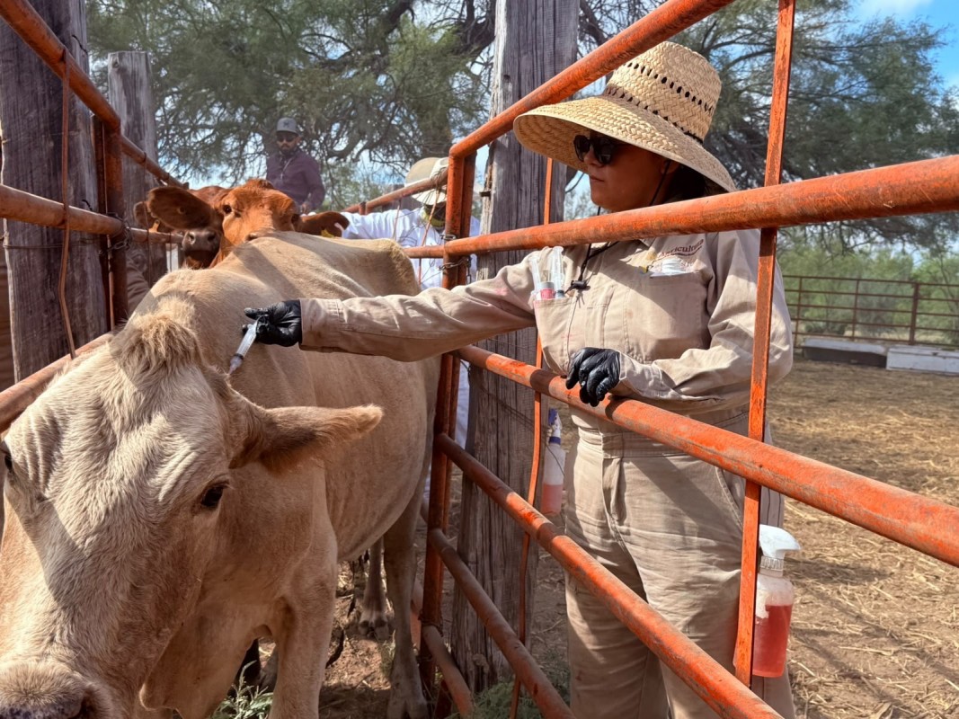 Rancherita