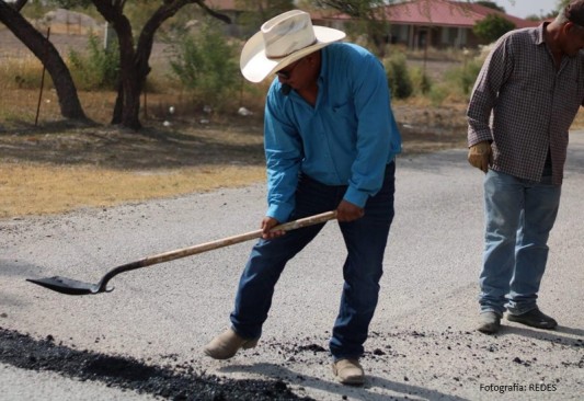 BACHEO