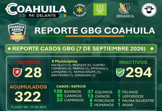 REPORTE