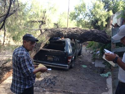 Se salva de morir al caerle árbol encima de su camioneta en Piedras Negras